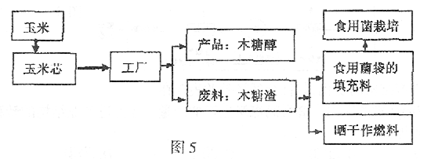 讀我國東北地區(qū)玉米芯綜合利用產(chǎn)業(yè)鏈示意圖(圖),回答下面問題1.在世界其他地區(qū),生產(chǎn)木糖醇的原料主要是林木,在我國則主要是使用玉米芯。與其他相比,我國用玉米芯作原料制取木糖_作業(yè)幫